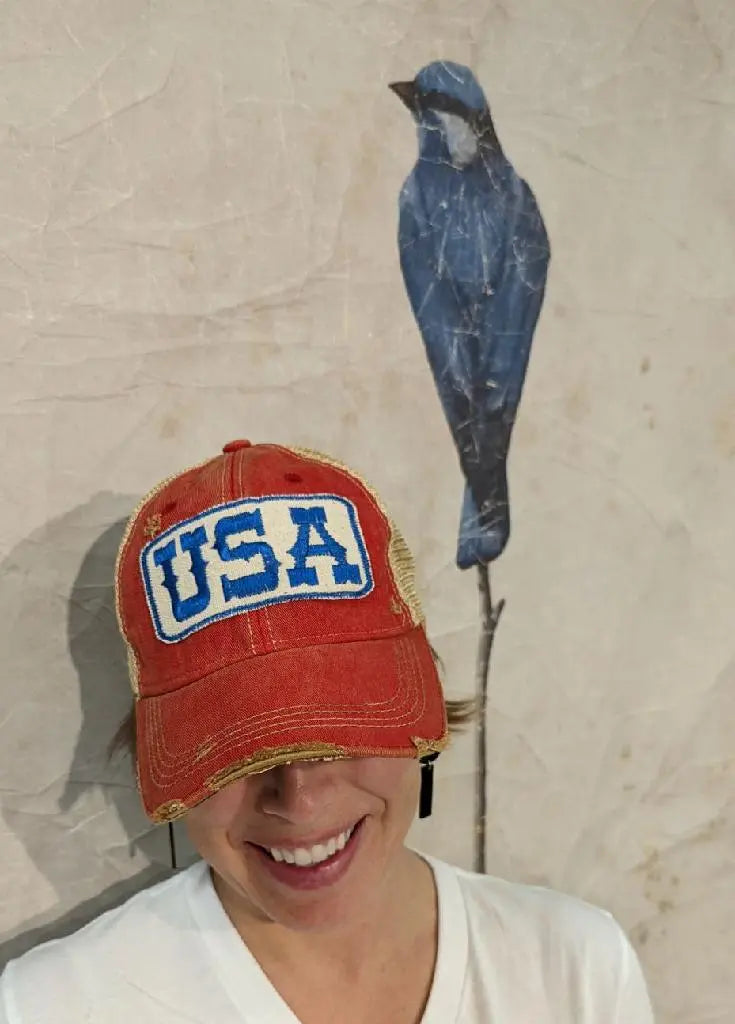 USA Hat The Goat Stock